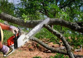 Soil Testing and Treatment in Liberty, PA