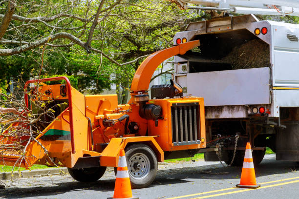 Best Grass Overseeding  in Liberty, PA